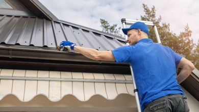 Gutter Cleaning Protecting Your Home and Preventing Damage