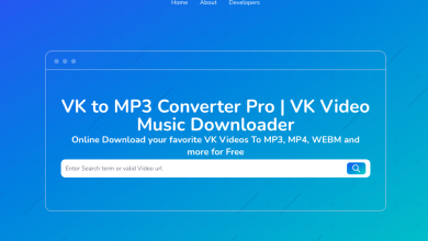 VK Videos to MP3